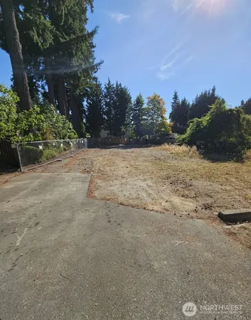 a view of dirt yard with a large tree