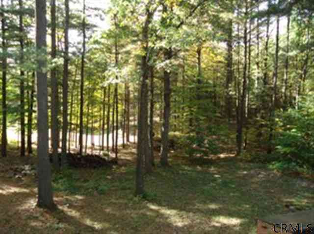 23 S Road Gansevoort, NY 12831 - Photo 10 of 12 Photo 10