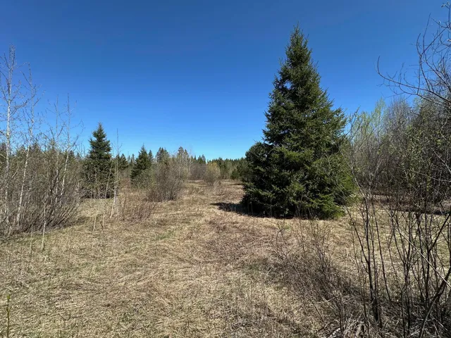 $114,000 | Tbd Glenwood Drive, Grand Rapids, MN 55744