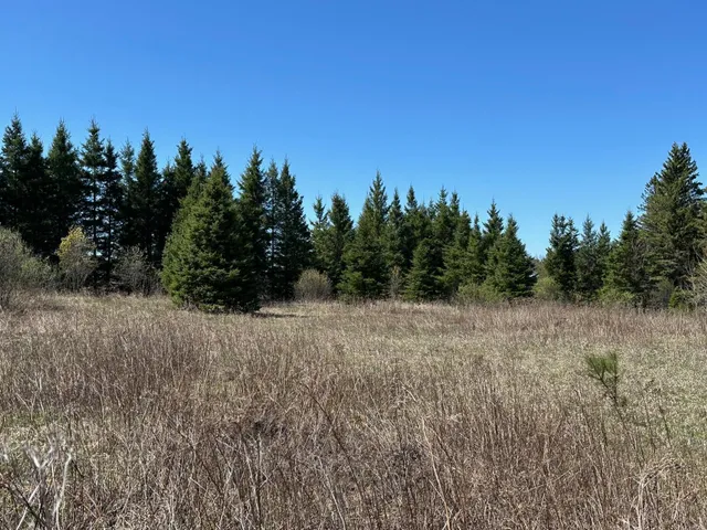 $114,000 | Tbd Glenwood Drive, Grand Rapids, MN 55744