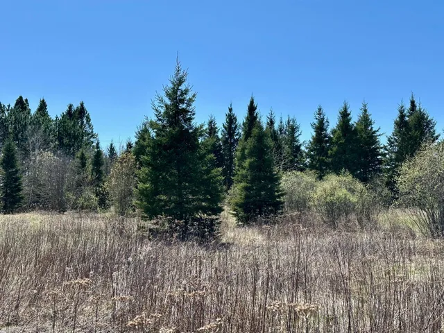 $114,000 | Tbd Glenwood Drive, Grand Rapids, MN 55744