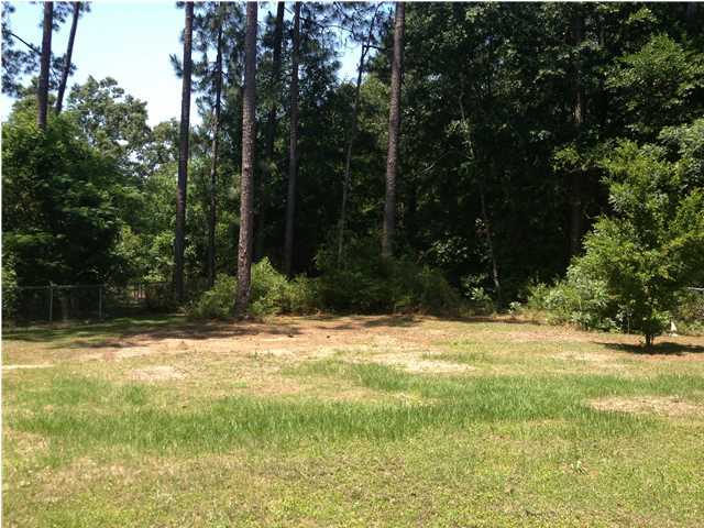 6178 Garden City Road Crestview, FL 32539 - Photo 9 of 14 a view of a yard with trees