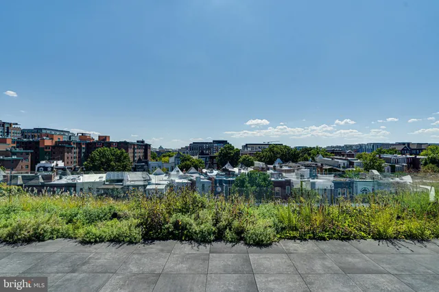 a view of a porch with chairs and potted plants