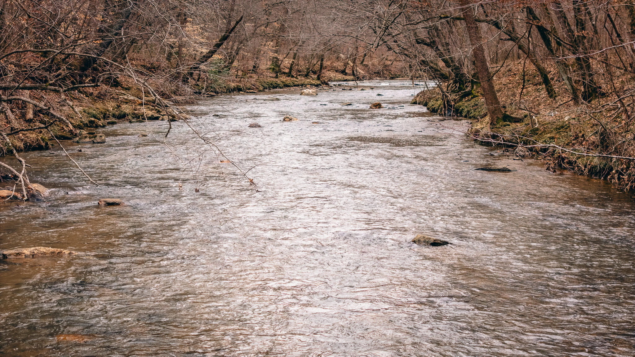 0 Pepper Road Rocky Mount, VA 24151 - Photo 1 of 11 Page-Pigg #1