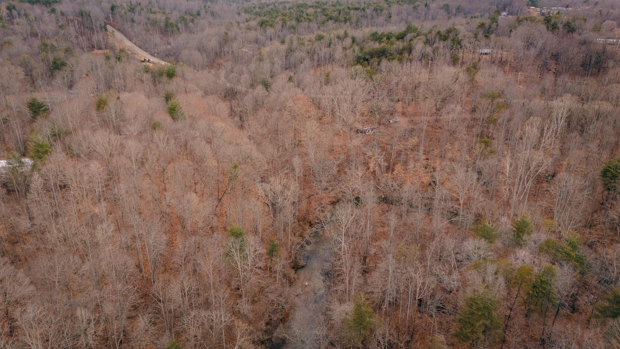 0 Pepper Road Rocky Mount, VA 24151 - Photo 3 of 11 Page-Pigg #3