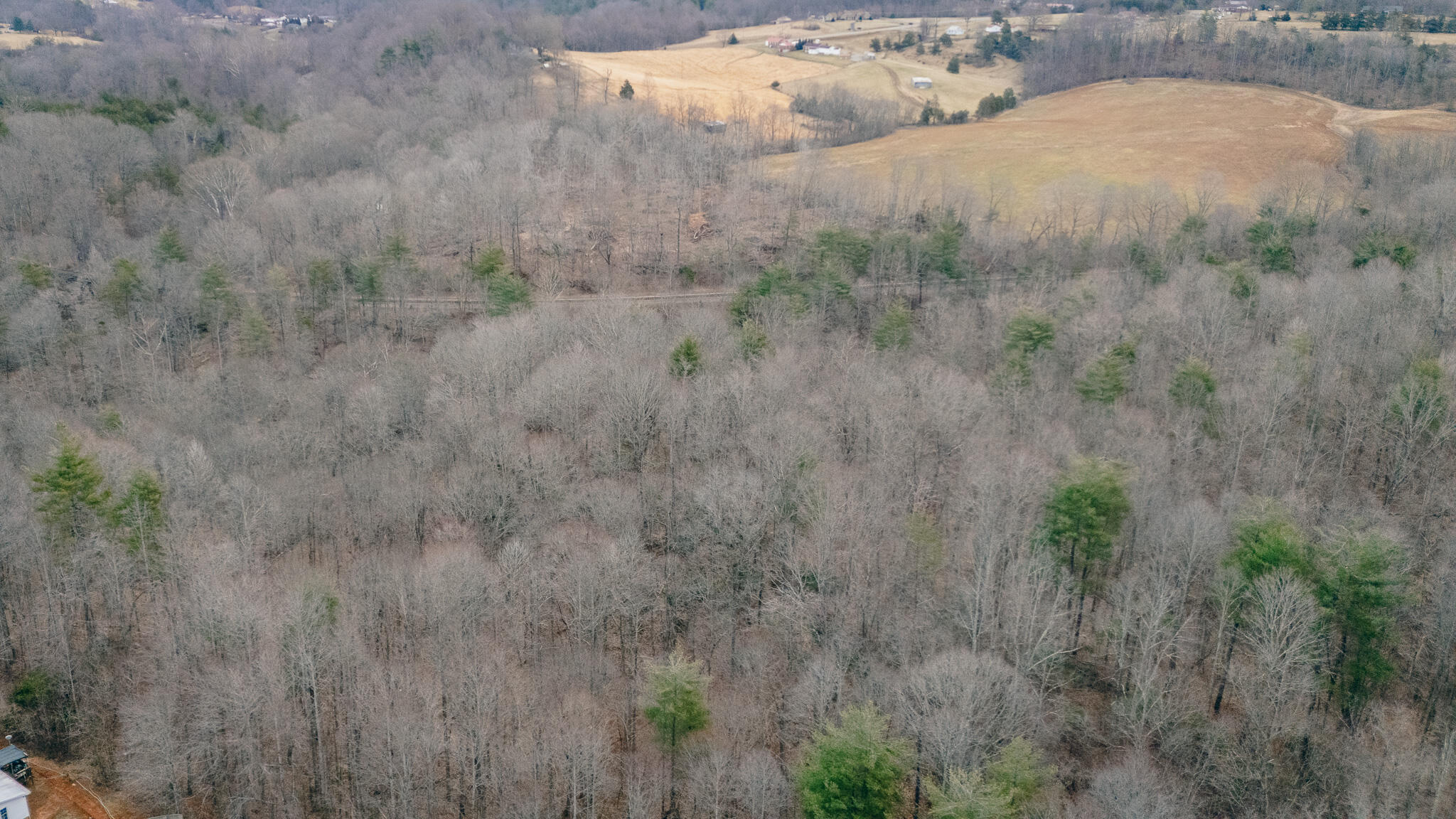 0 Pepper Road Rocky Mount, VA 24151 - Photo 9 of 11 Page-Pigg #9