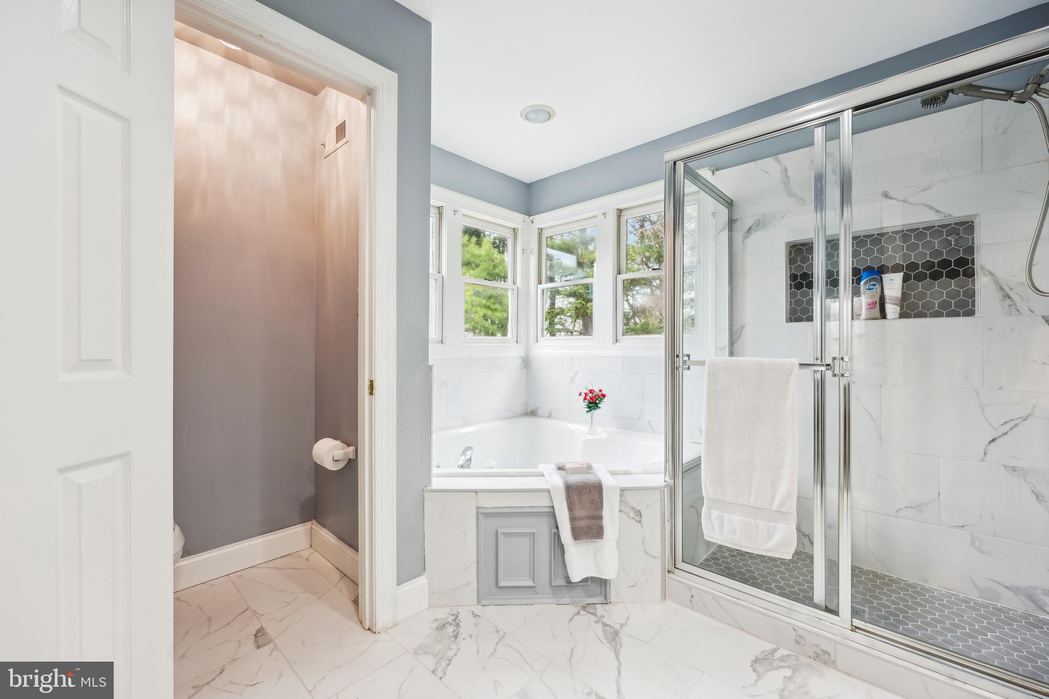 6132 Cornwall Terrace Frederick, MD 21701 - Photo 19 of 48 a bathroom with a sink toilet and shower