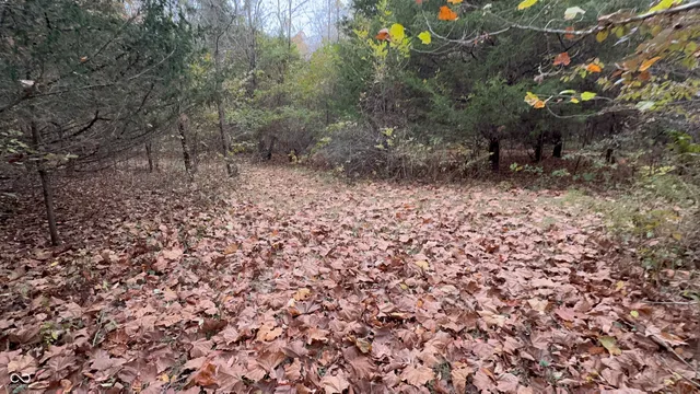 $2,350,000 | 16646 Southeastern Parkway, Fortville, IN 46040