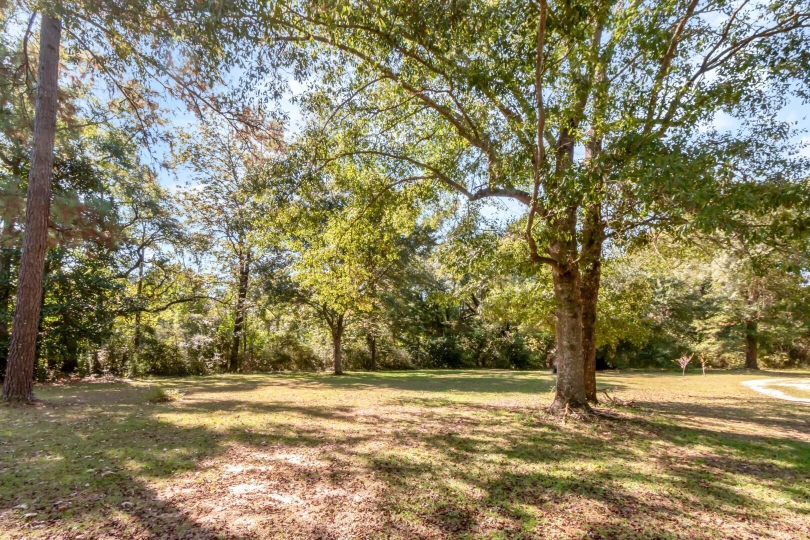 6405 1st Street Wilmer, AL 36587 - Photo 22 of 38 View of green lawn