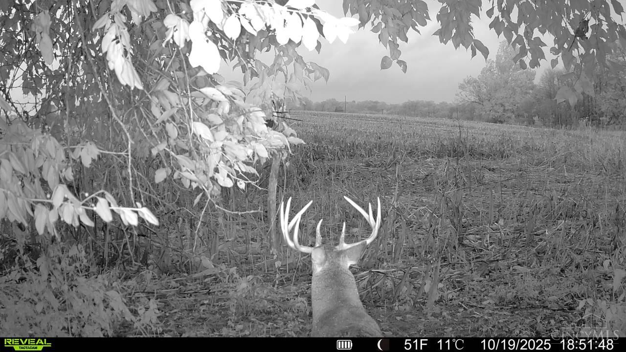 1976 Shinkle Ridge Road Georgetown, OH 45121 - Photo 63 of 66