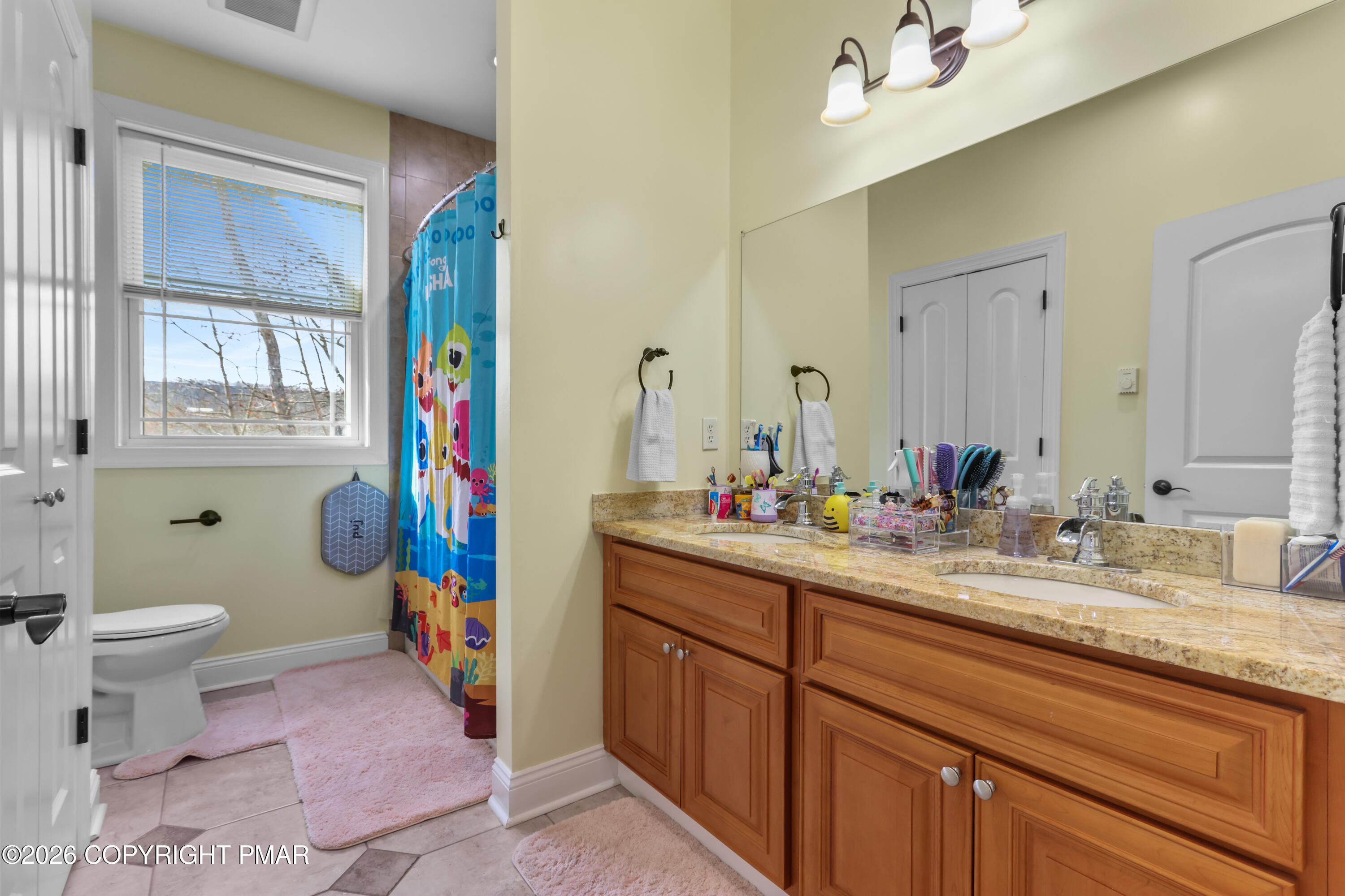 1007 Hampstead Road Bushkill, PA 18324 - Photo 22 of 68 a bathroom with a sink vanity mirror and toilet