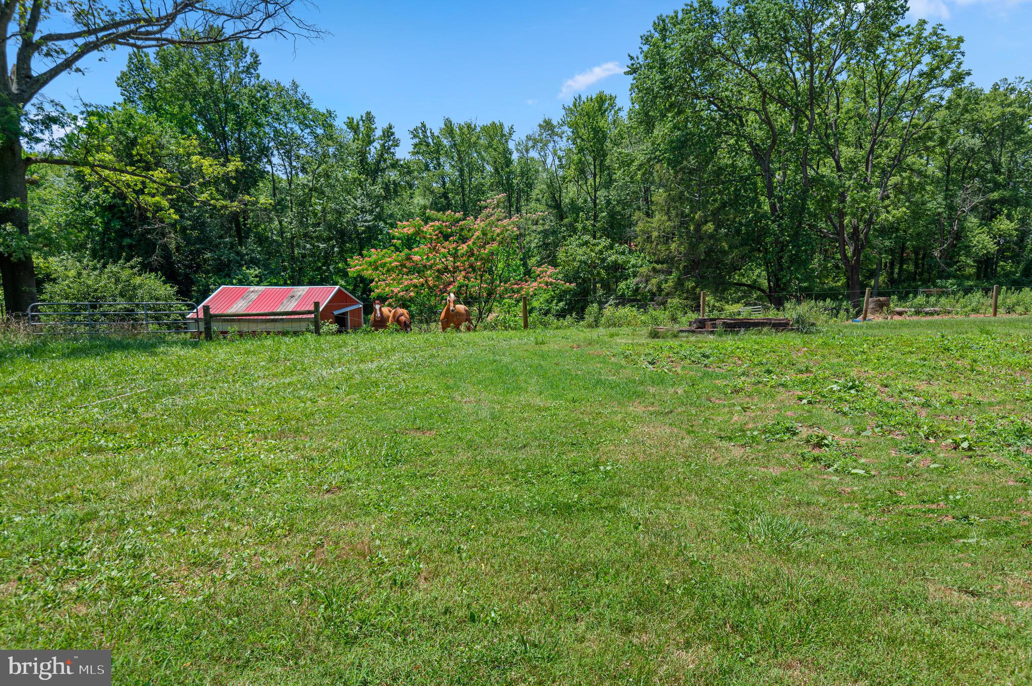 312 Whitaker Mill Road Fallston, MD 21047 - Photo 53 of 57 a backyard of a house with lots of green space