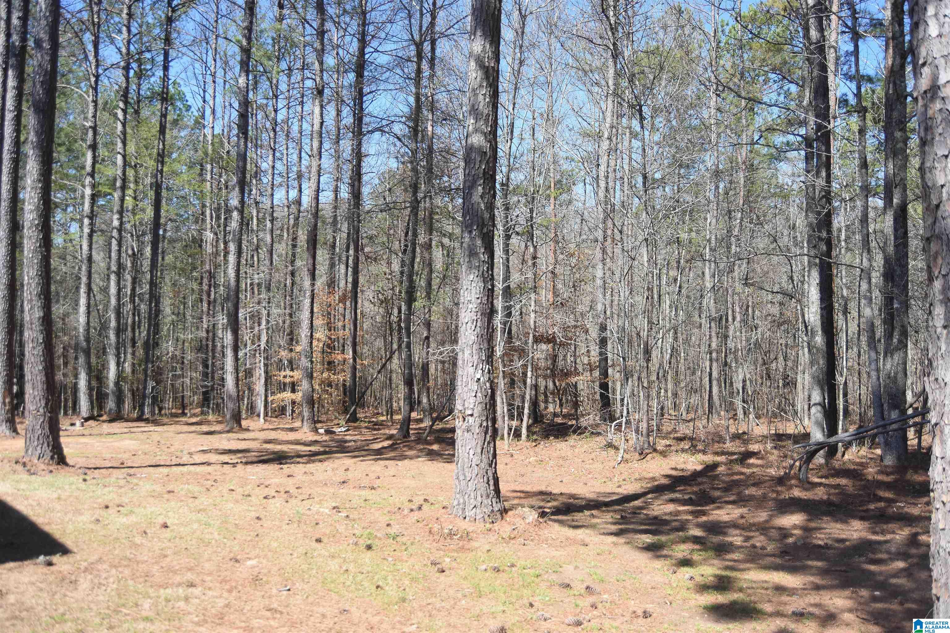 3597 Grayton Road Ohatchee, AL 36271 - Photo 51 of 53 Gallery Image 51