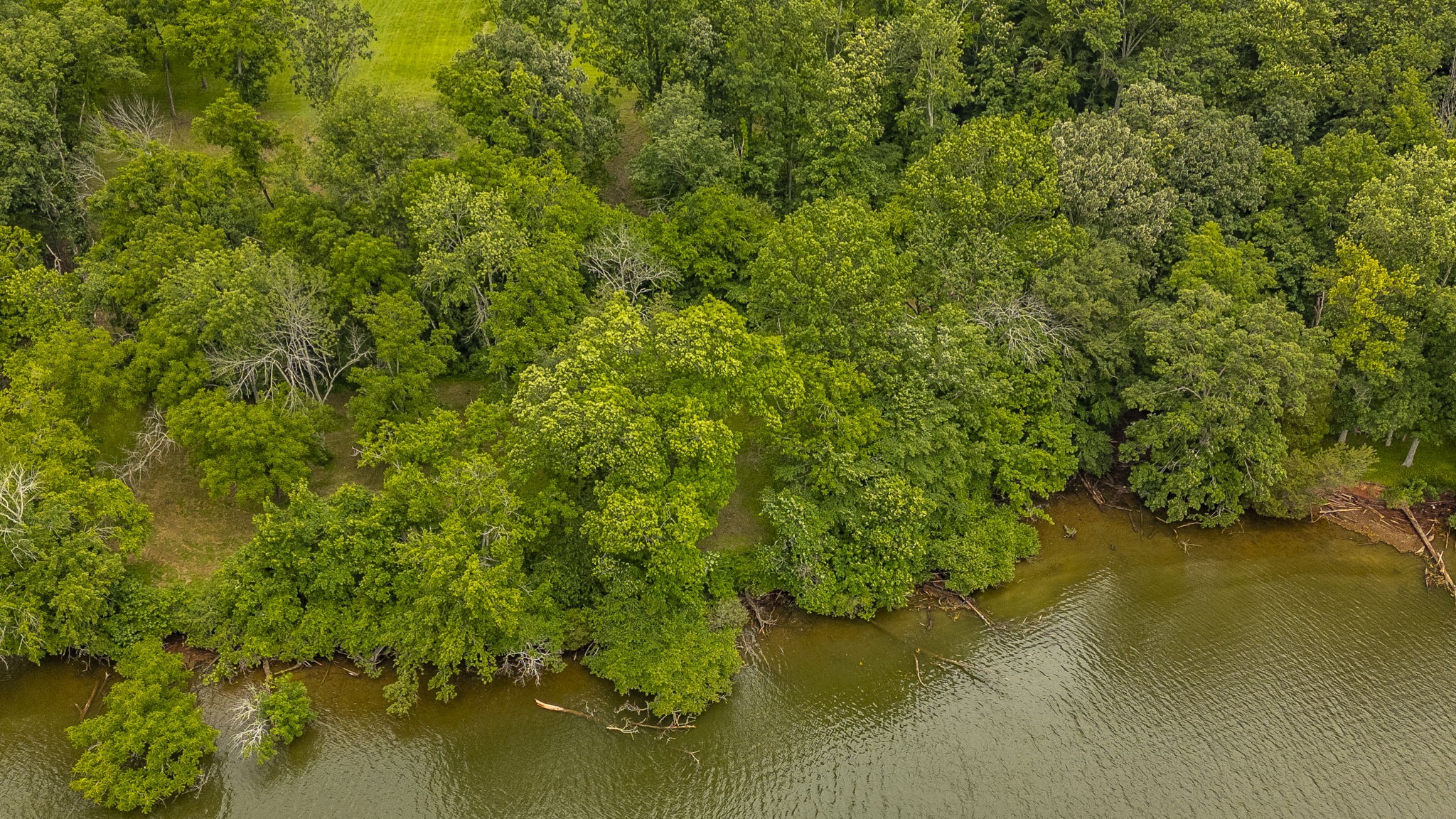 1113 East Robertson Road Castalian Springs, TN 37031 - Photo 11 of 56