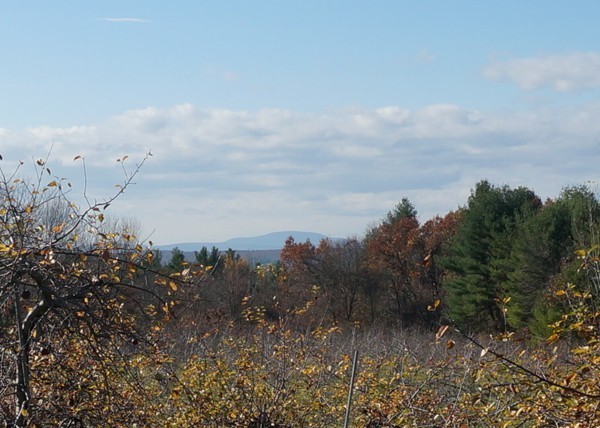 24 Prospect Hill Road Harvard, MA 01451 - Photo 2 of 28 a view of a bunch of trees in a field