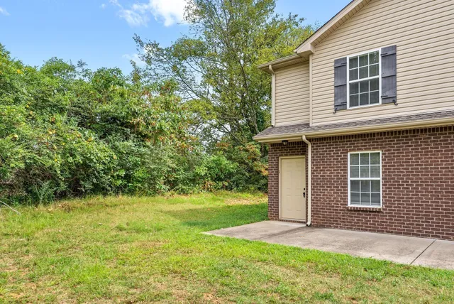 a view of a backyard with plants and large trees