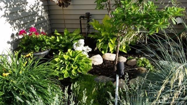 14705 Reid Road Romeo, MI 48065 - Photo 37 of 40 14705 Reid Garden.jpg