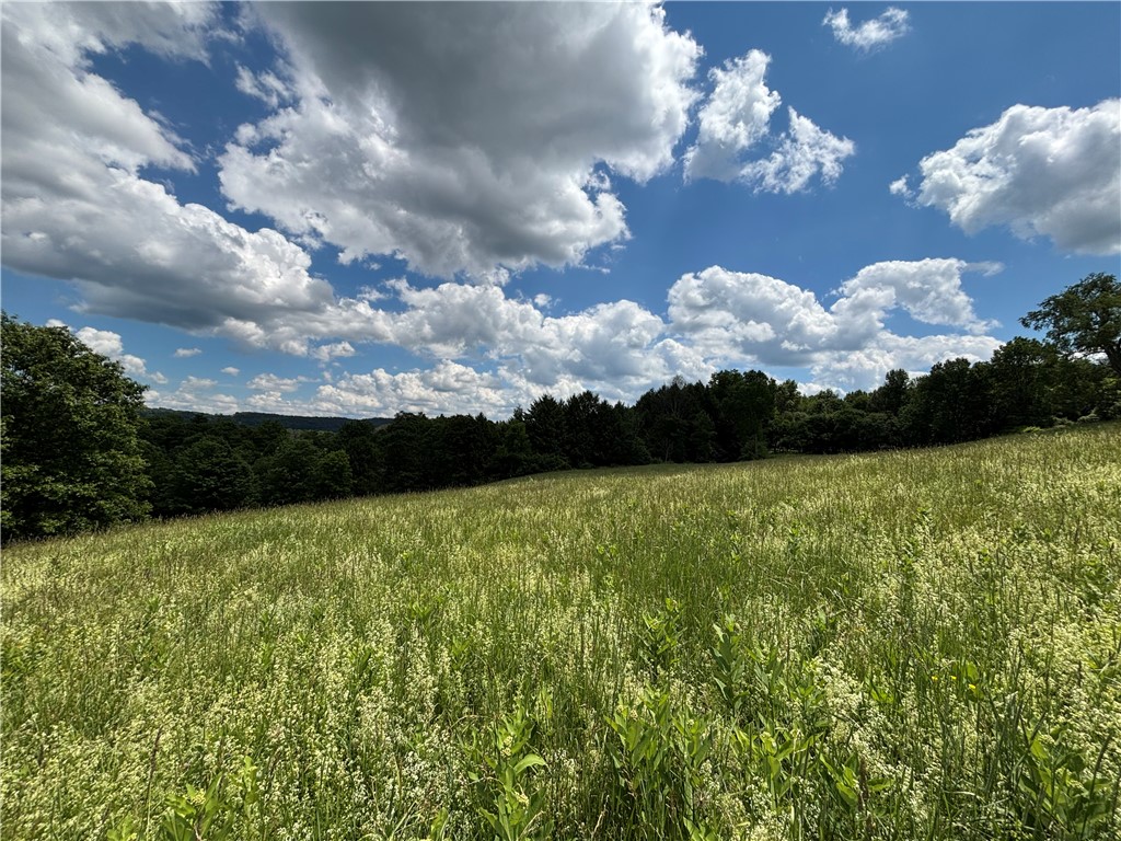 1267 Gorton Road Hamilton, NY 13332 - Photo 22 of 42