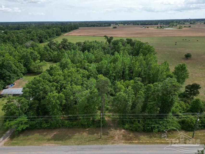 2000 Molino Road Molino, FL 32577 - Photo 2 of 27