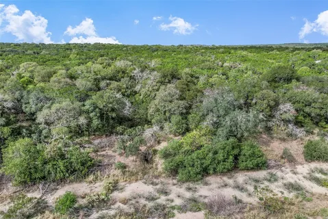 a view of a yard with an trees