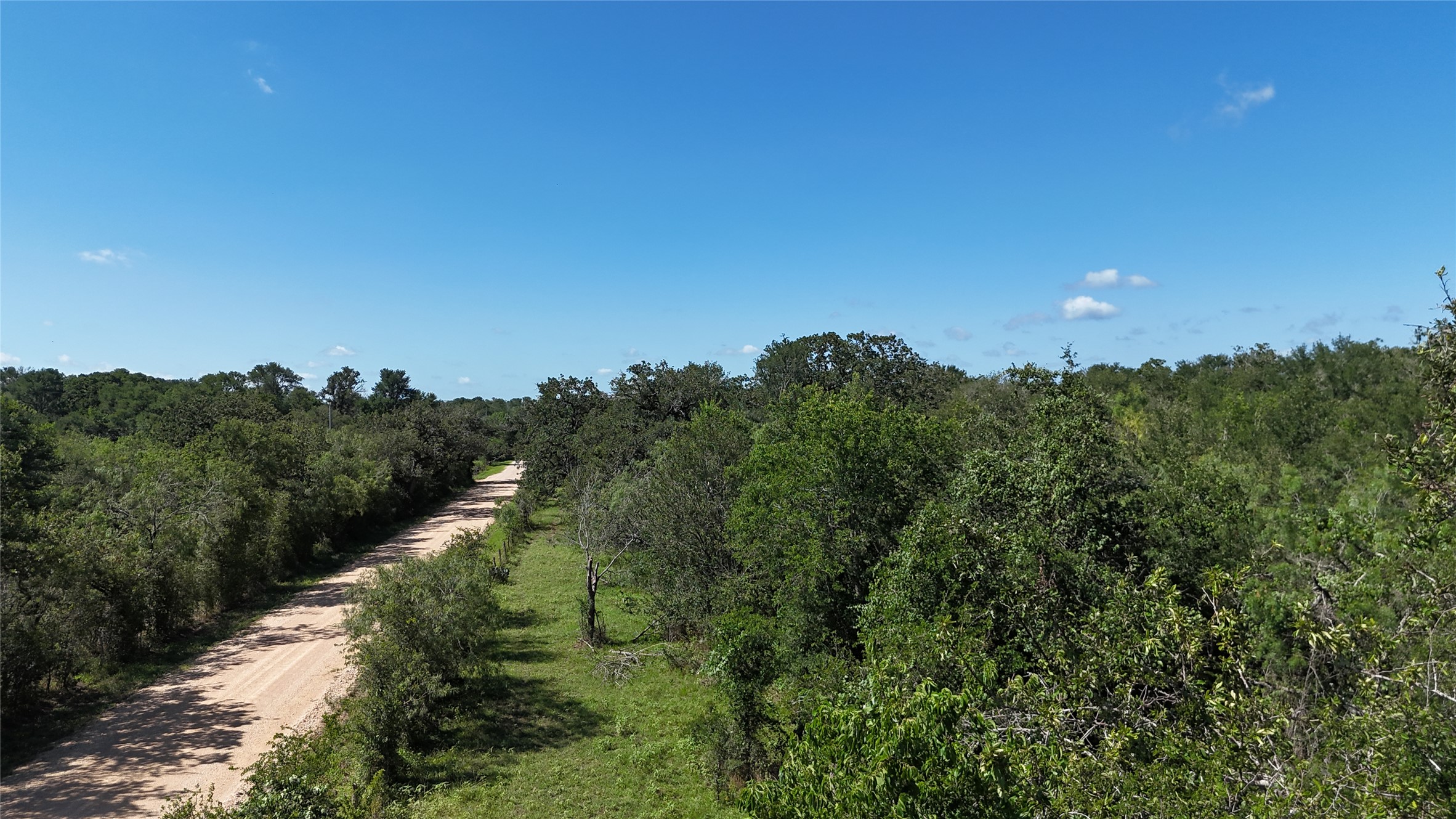 1554 Father Anders Loop Waelder, TX 78959 - Photo 6 of 9 Expansive land featuring a dirt road and abundant green foliage under a clear blue sky