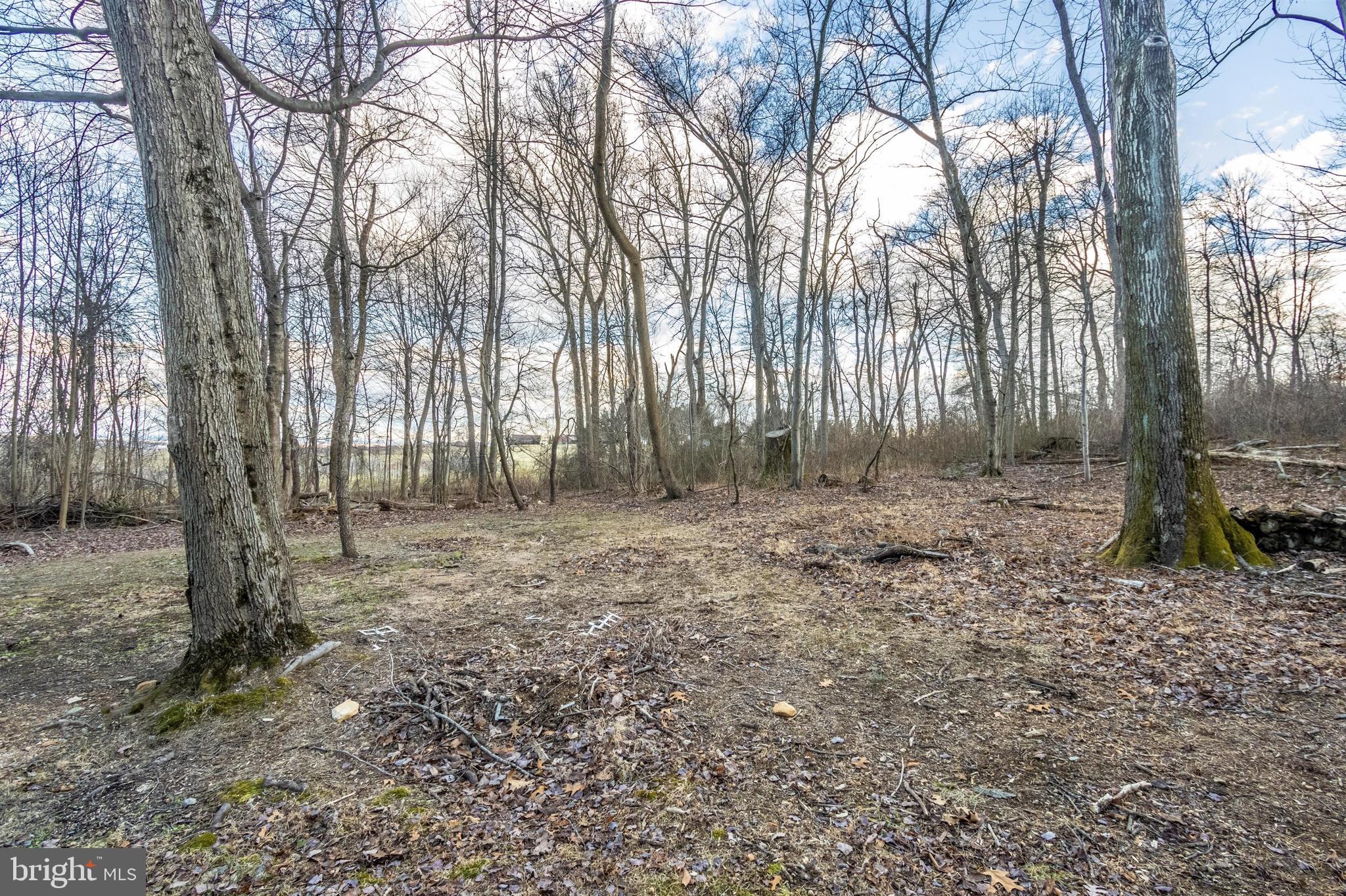 13833 Pryor Road Thurmont, MD 21788 - Photo 64 of 64 Gallery Image 64