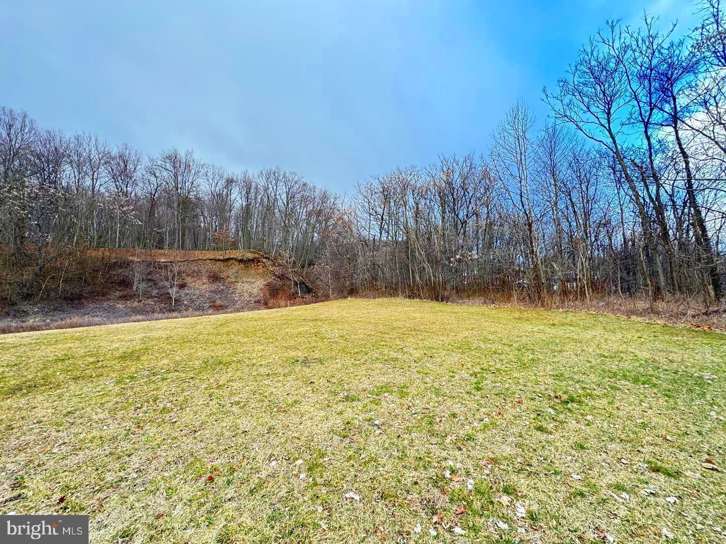 750 Slocum Avenue Exeter, PA 18643 - Photo 3 of 13 a view of a yard with large trees