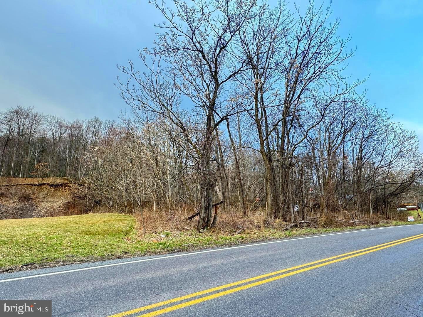 750 Slocum Avenue Exeter, PA 18643 - Photo 7 of 13 a view of a yard with large trees