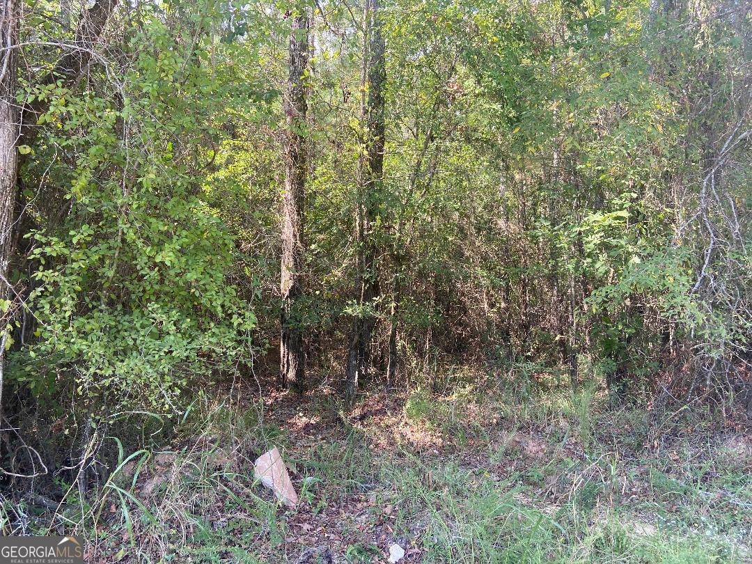 0 Saggus Road Crawfordville, GA 30631 - Photo 2 of 3 a view of a forest with lots of trees