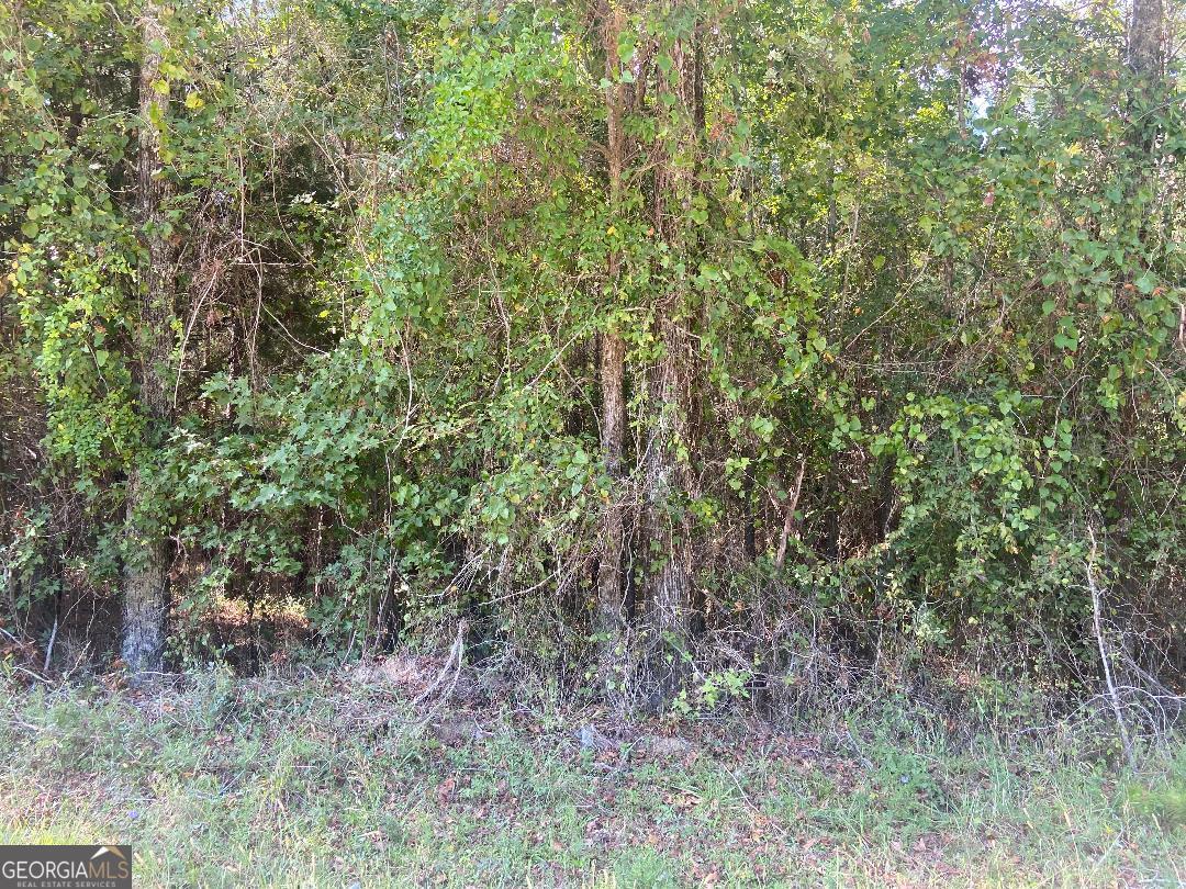 0 Saggus Road Crawfordville, GA 30631 - Photo 3 of 3 a view of a forest with lots of trees