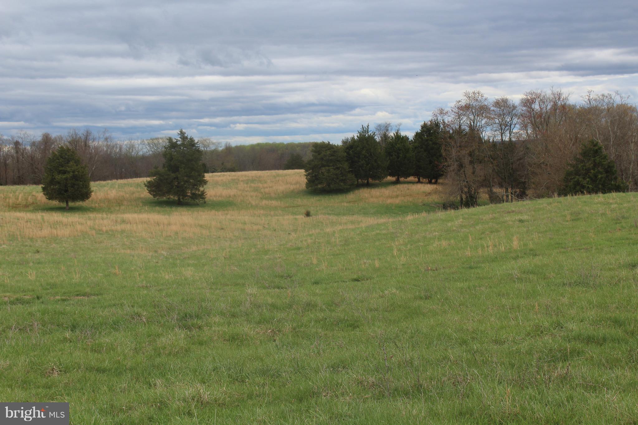 Mt Zion Church Road Culpeper, VA 22701 - Photo 1 of 3 Exterior (Front)