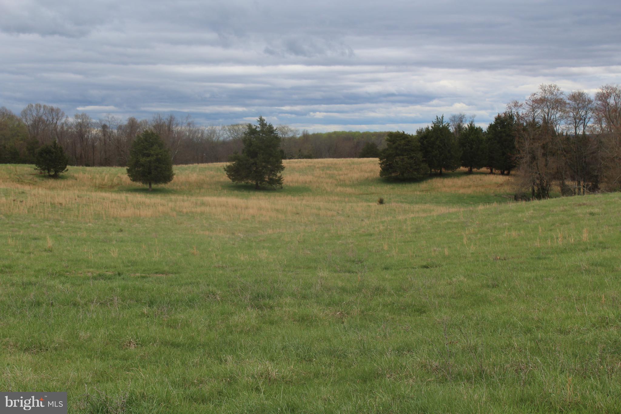 Mt Zion Church Road Culpeper, VA 22701 - Photo 2 of 3 Exterior (Front)