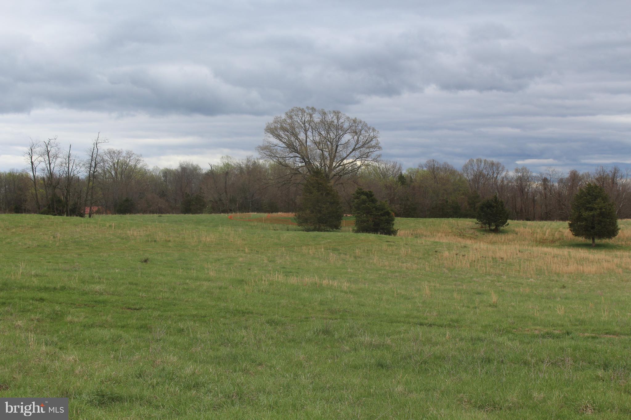 Mt Zion Church Road Culpeper, VA 22701 - Photo 3 of 3 Exterior (Front)