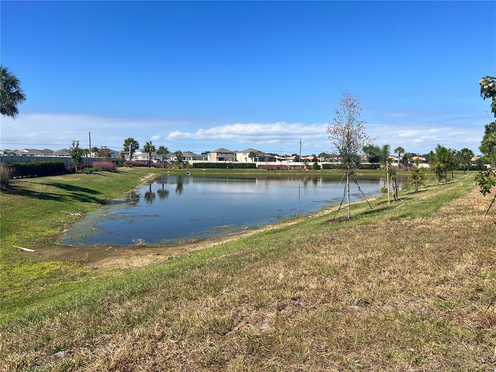 110 Mangrove Shade Circle Apollo Beach, FL 33572 - Photo 12 of 36 a view of a lake with houses in the back