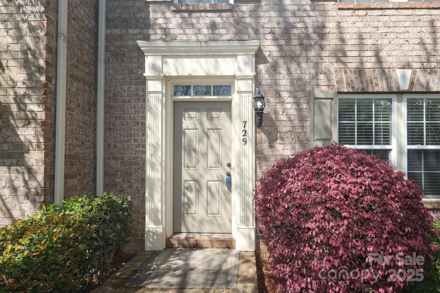 729 Naramore Street Davidson, NC 28036 - Photo 2 of 38