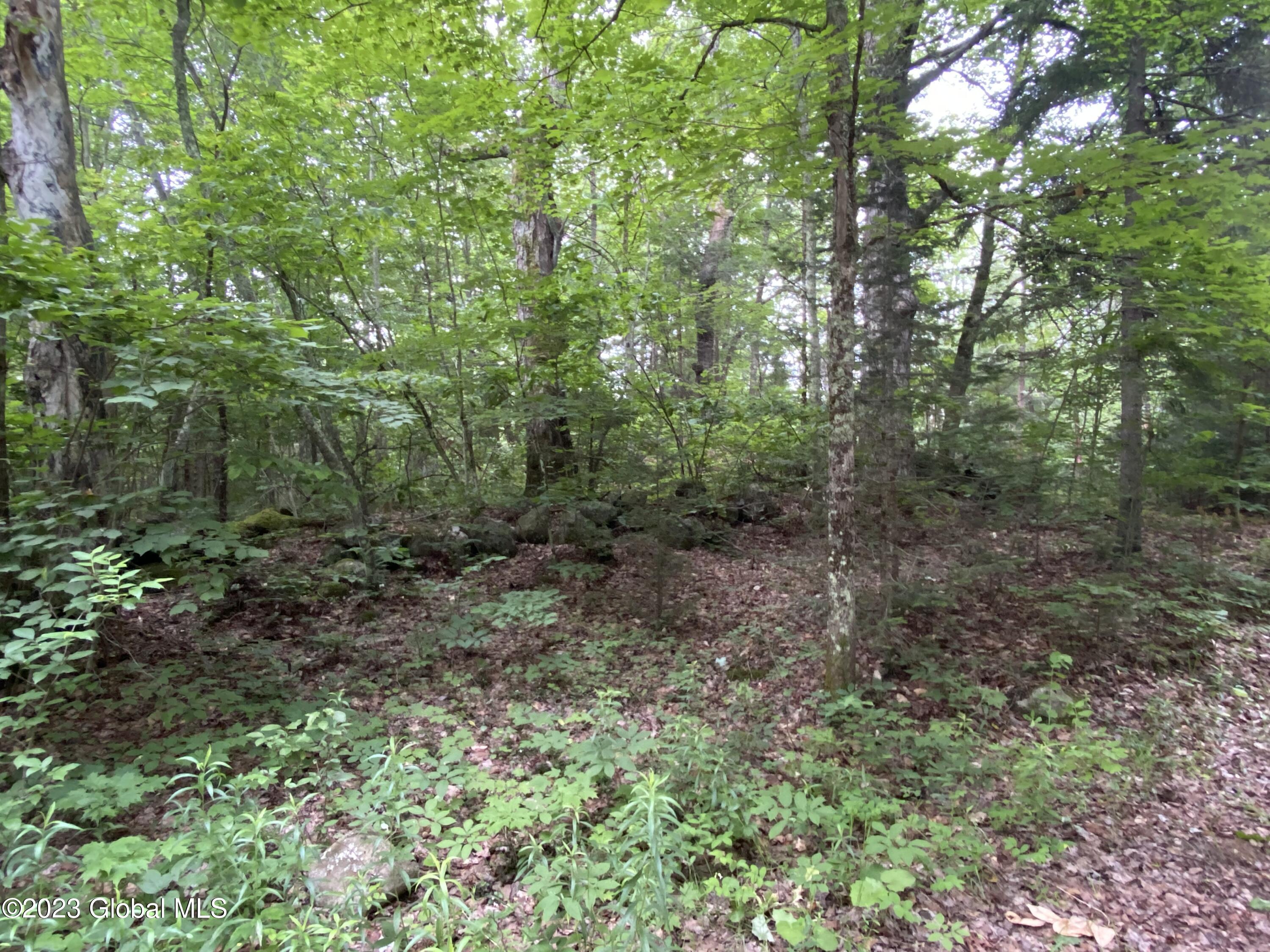1 Tiedman Road Stratford, NY 13470 - Photo 3 of 9 Road