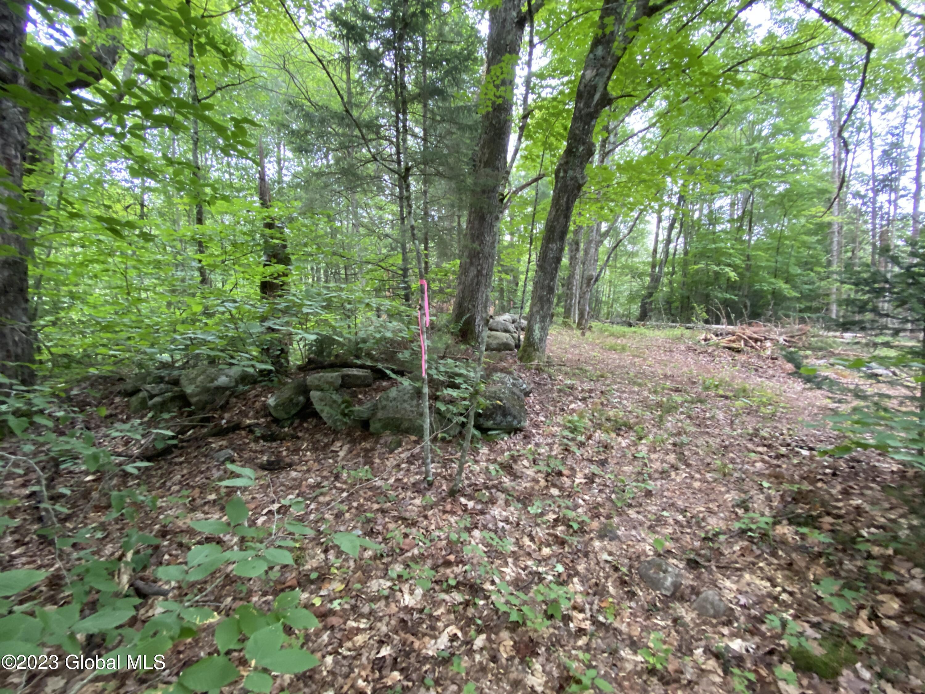 1 Tiedman Road Stratford, NY 13470 - Photo 5 of 9 IMG-2875