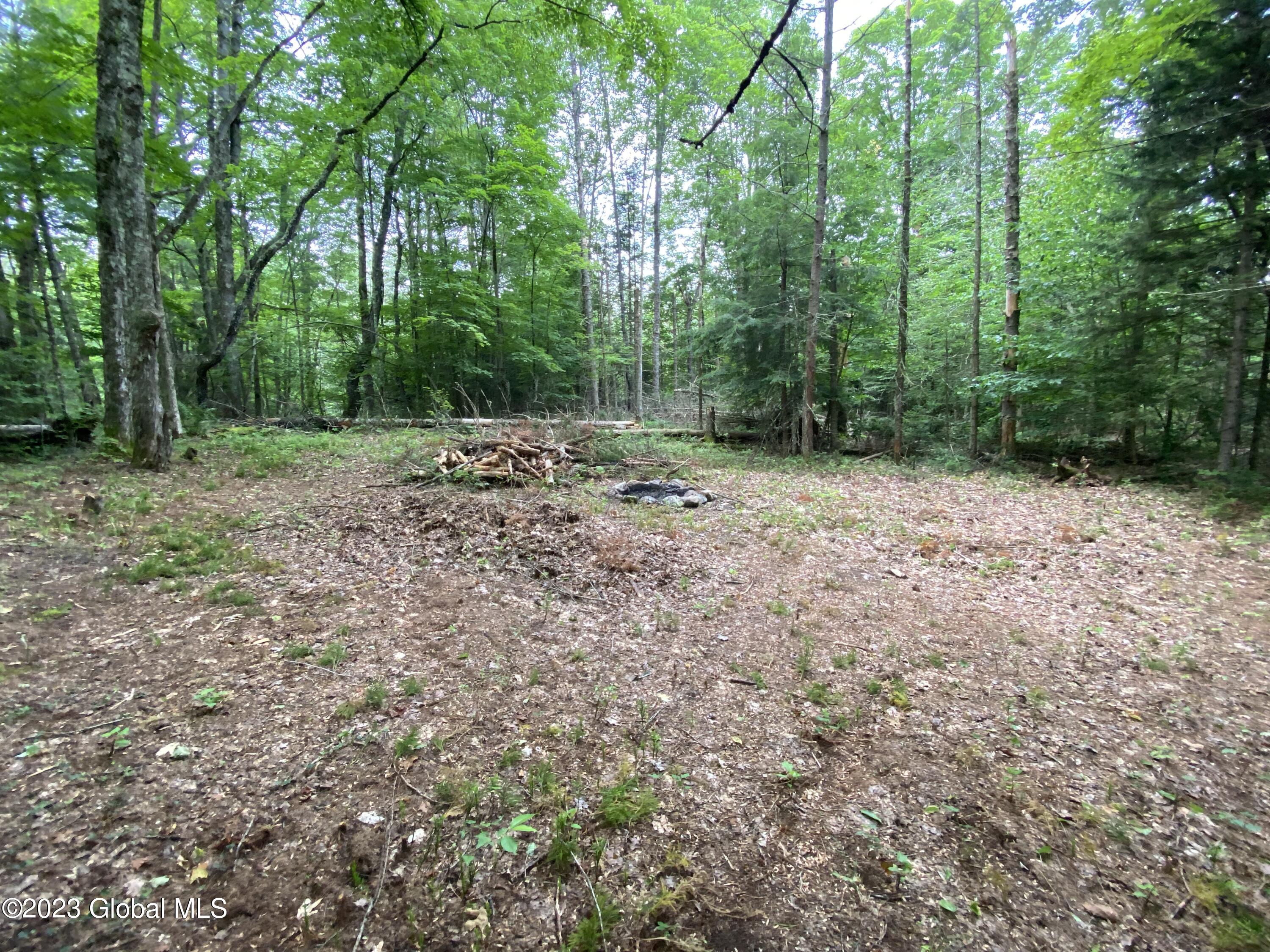 1 Tiedman Road Stratford, NY 13470 - Photo 6 of 9 IMG-2876