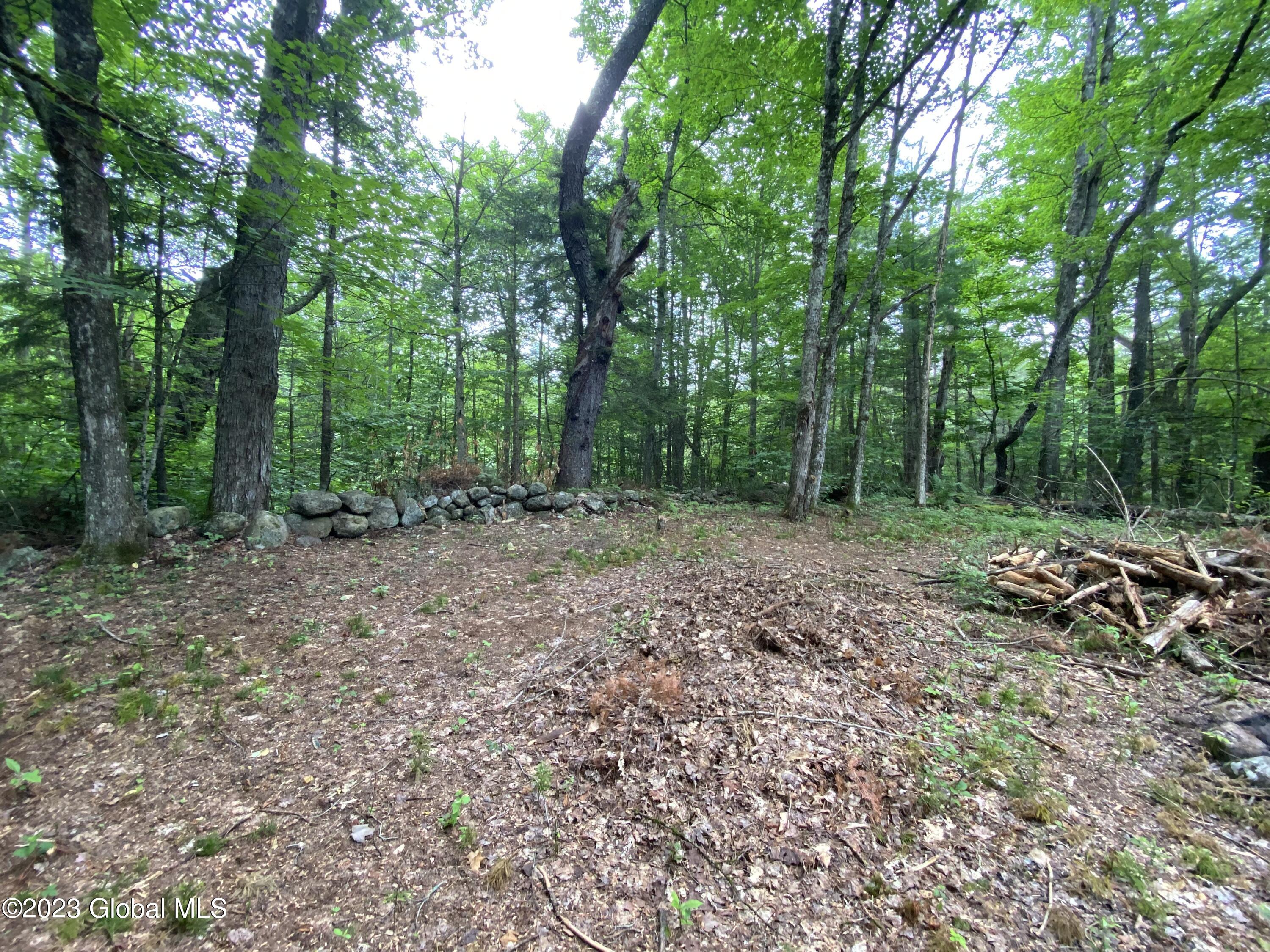 1 Tiedman Road Stratford, NY 13470 - Photo 7 of 9 IMG-2877