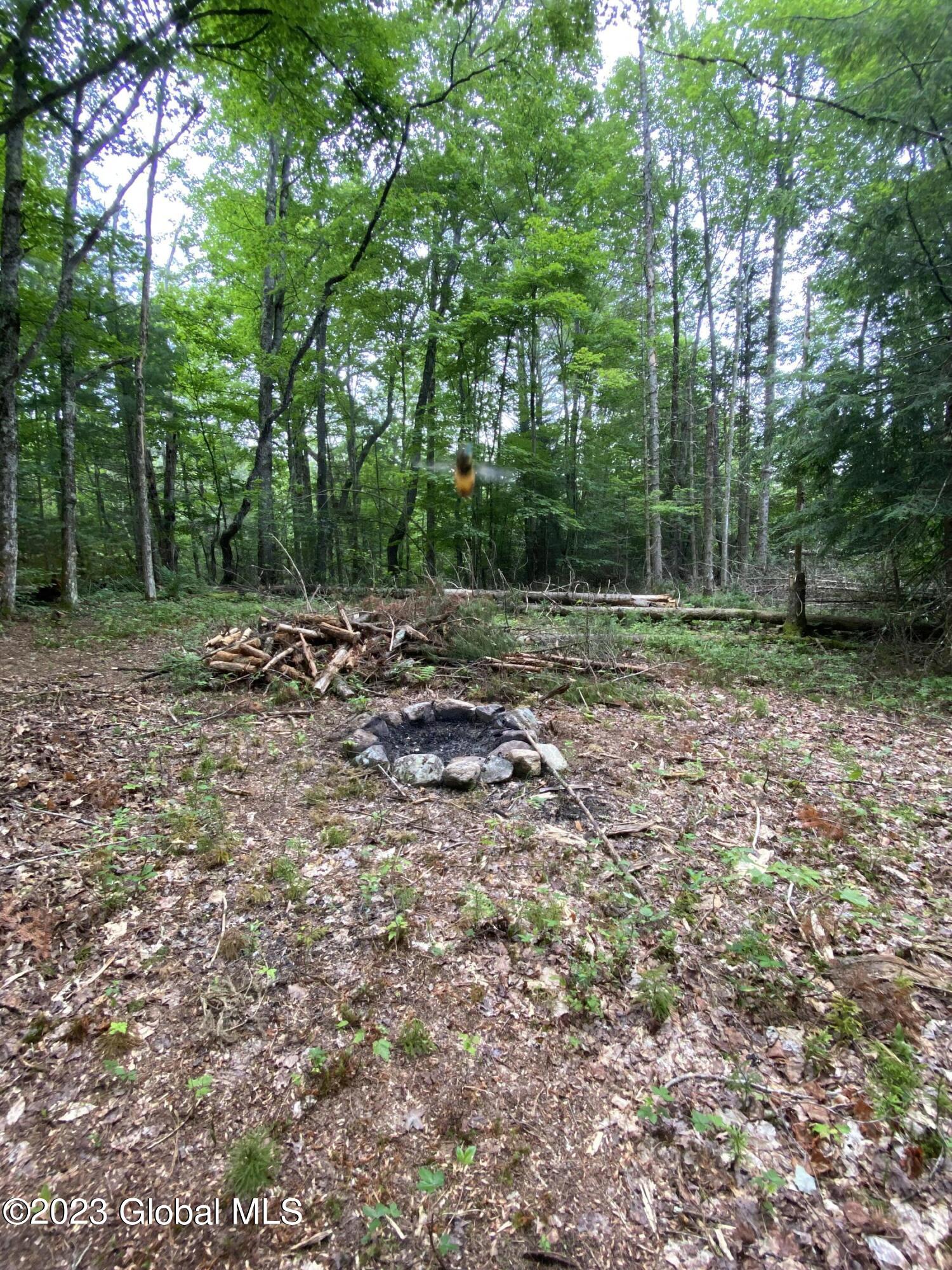 1 Tiedman Road Stratford, NY 13470 - Photo 8 of 9 IMG-2878