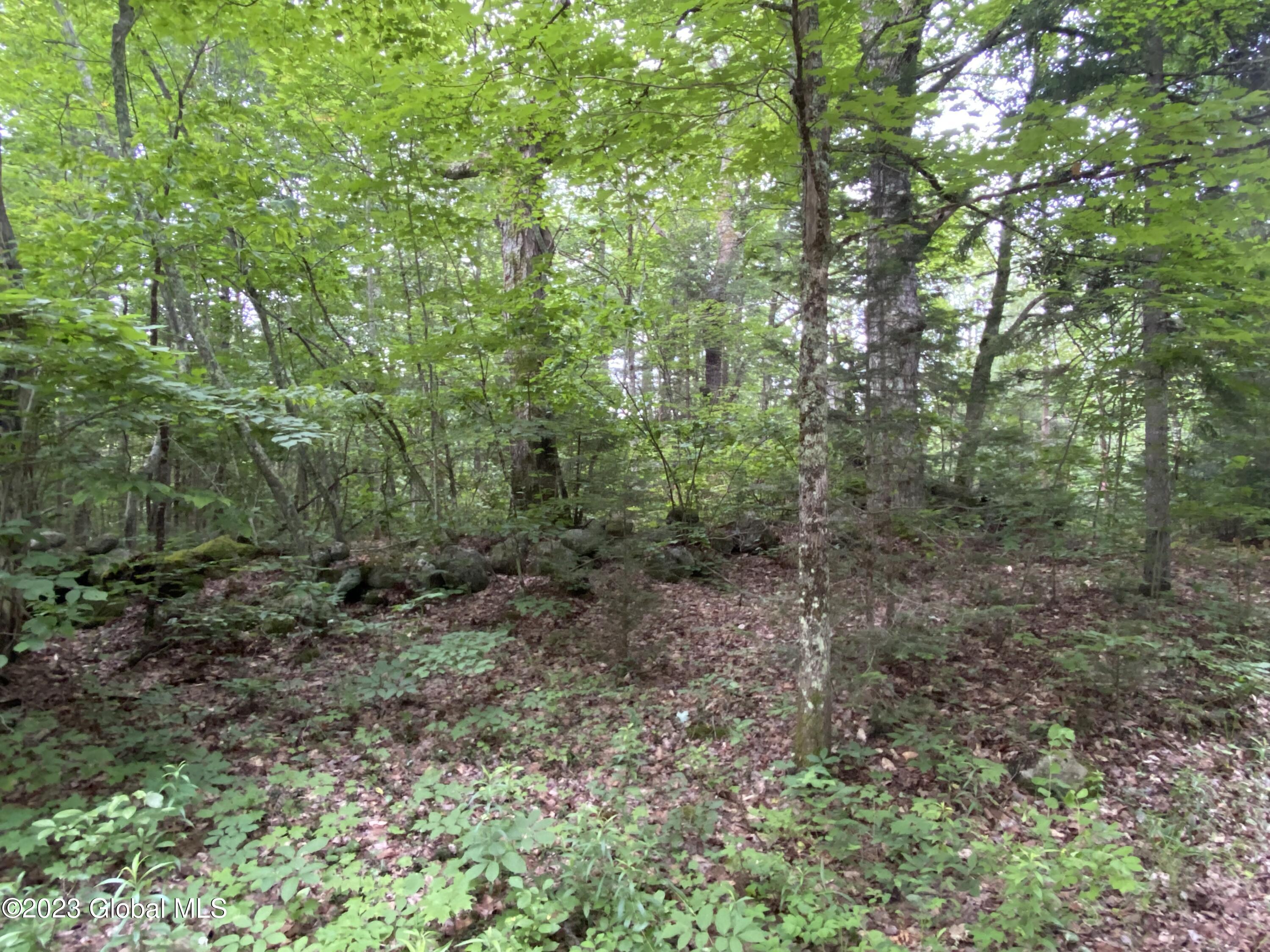 1 Tiedman Road Stratford, NY 13470 - Photo 9 of 9 IMG-2881