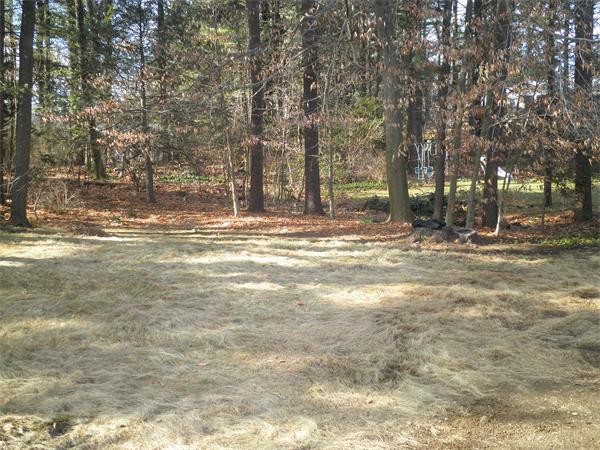 32 Rice Spring Lane Wayland, MA 01778 - Photo 19 of 21 Gallery Image 19