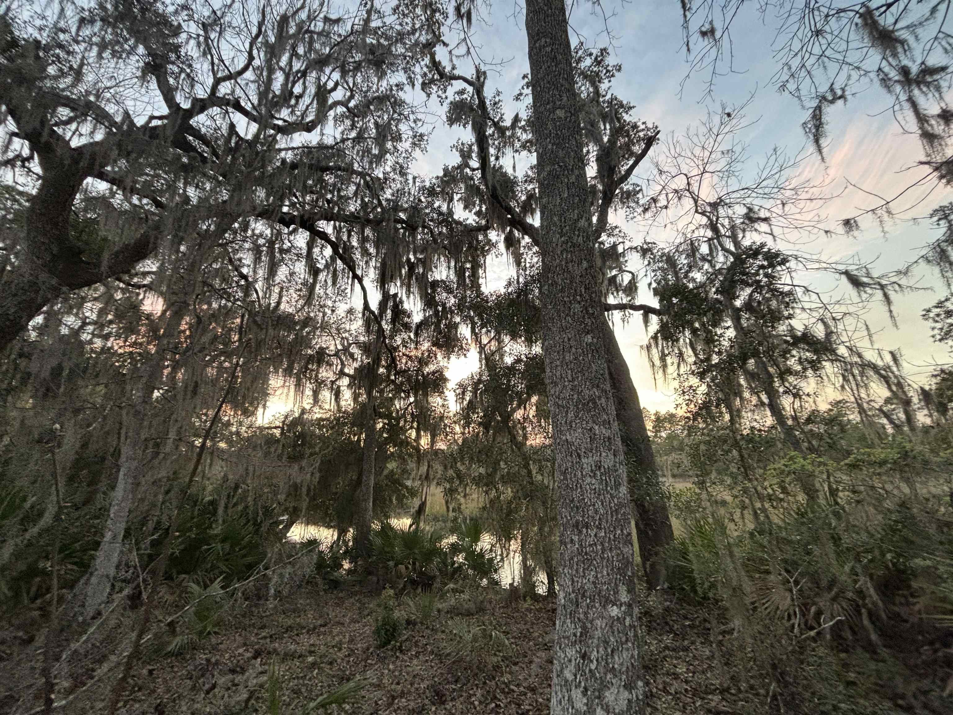 0 Pine Island Road St. Augustine, FL 32095 - Photo 12 of 39 View of nature at dusk
