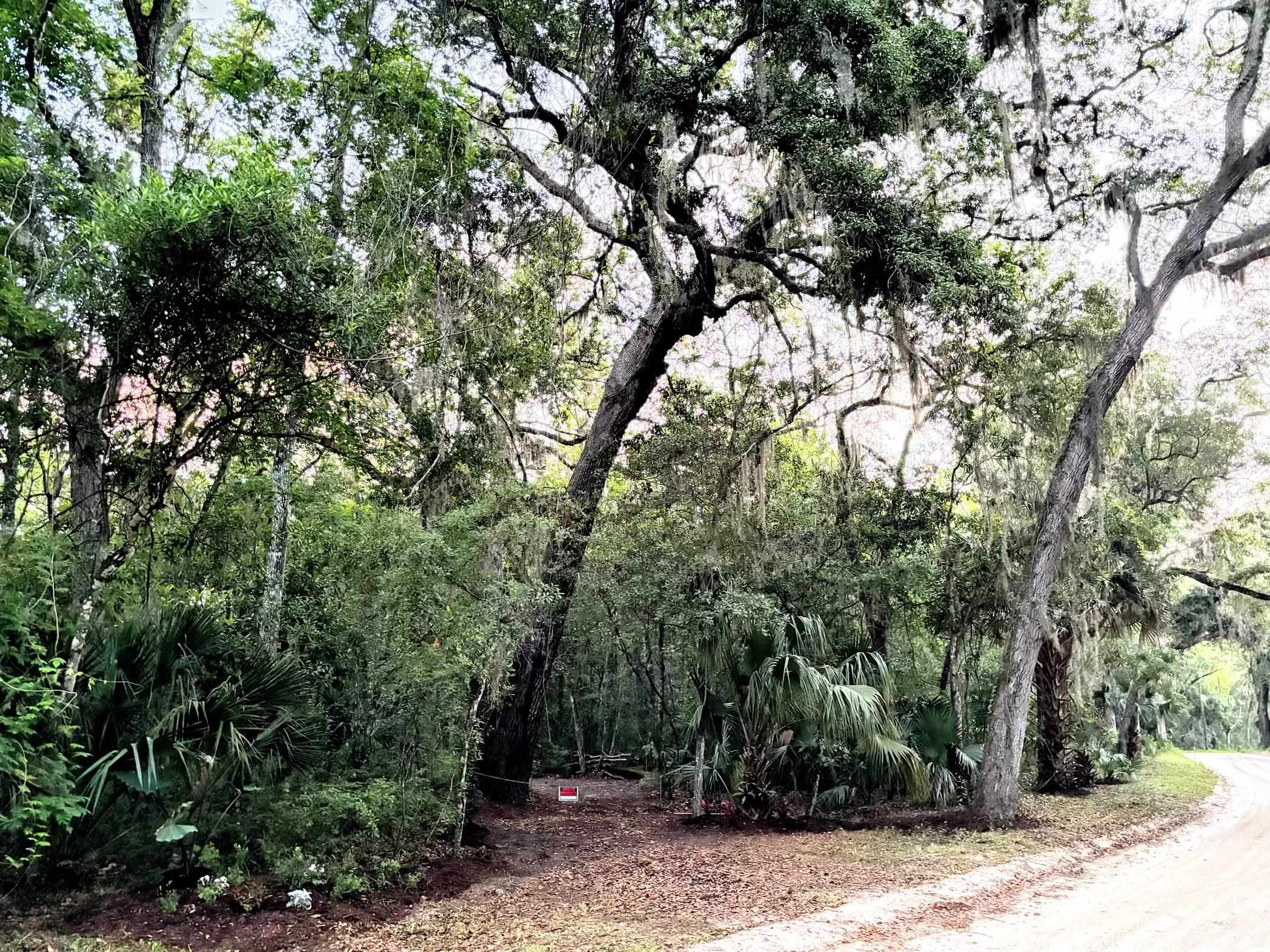 0 Pine Island Road St. Augustine, FL 32095 - Photo 14 of 39 View of dirt / gravel road with a view of trees