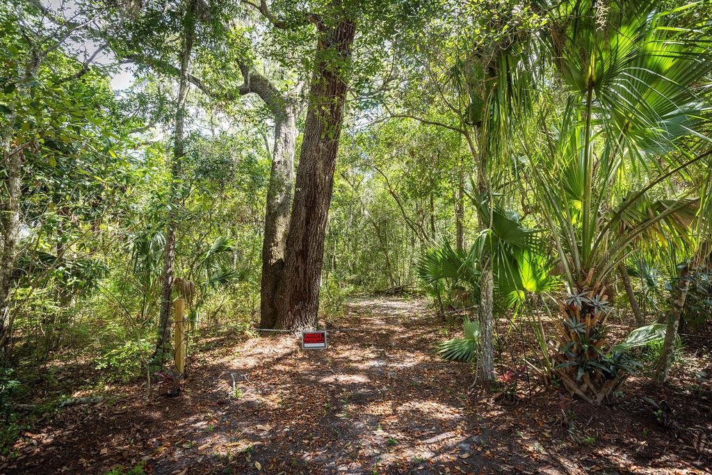 0 Pine Island Road St. Augustine, FL 32095 - Photo 2 of 39 View of undeveloped land