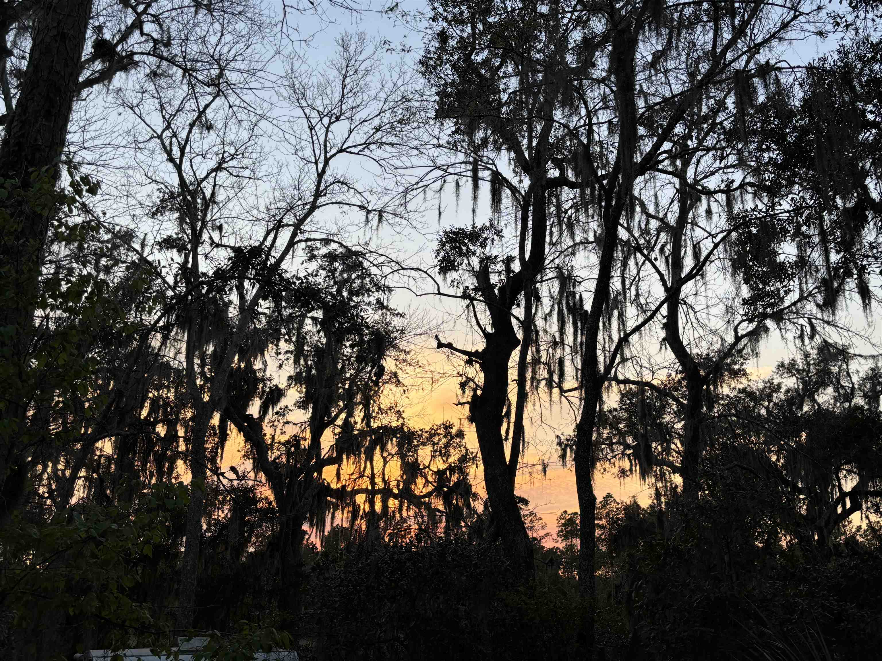 0 Pine Island Road St. Augustine, FL 32095 - Photo 23 of 39 View of nature at dusk