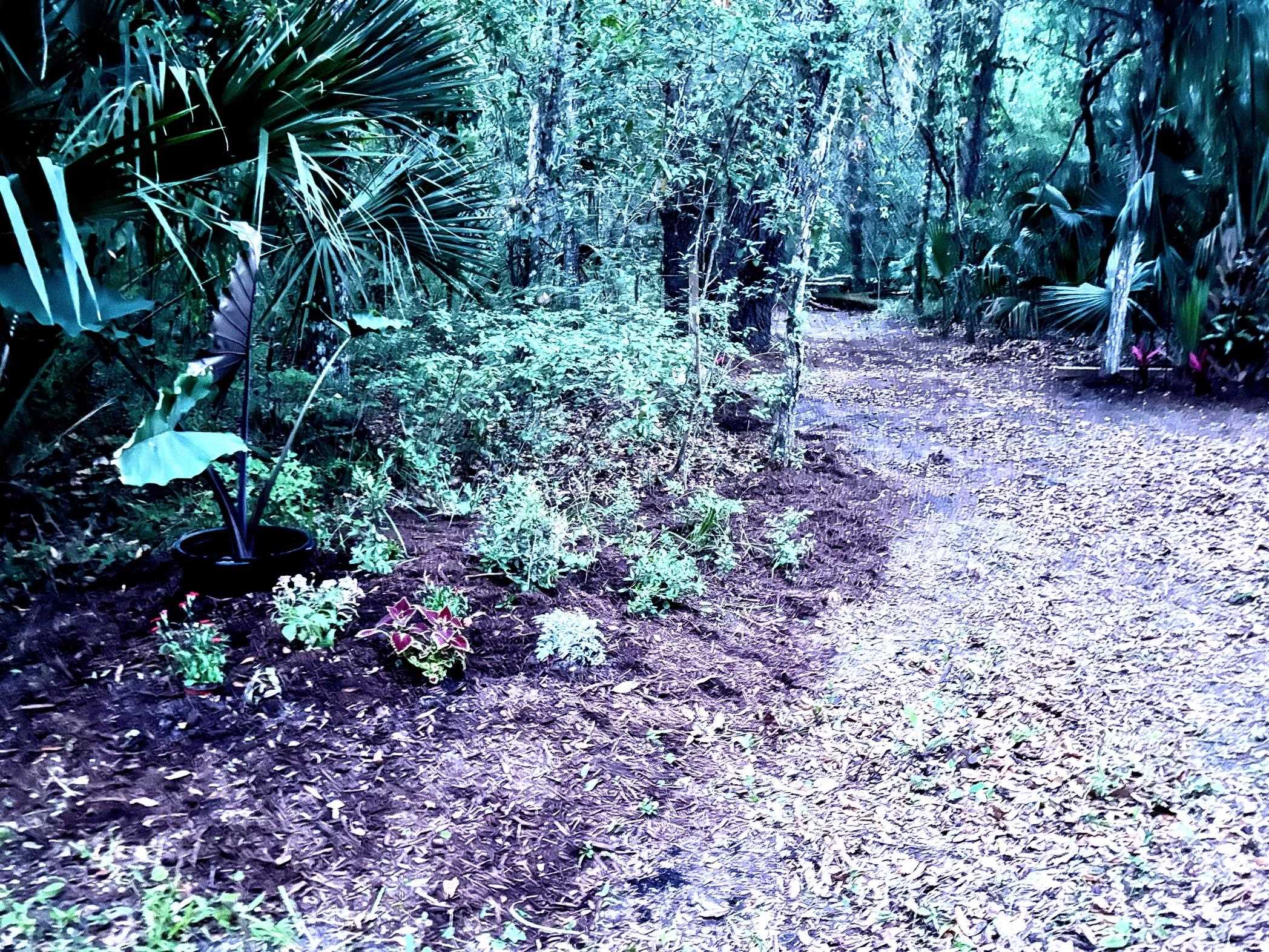 0 Pine Island Road St. Augustine, FL 32095 - Photo 29 of 39 View of nature