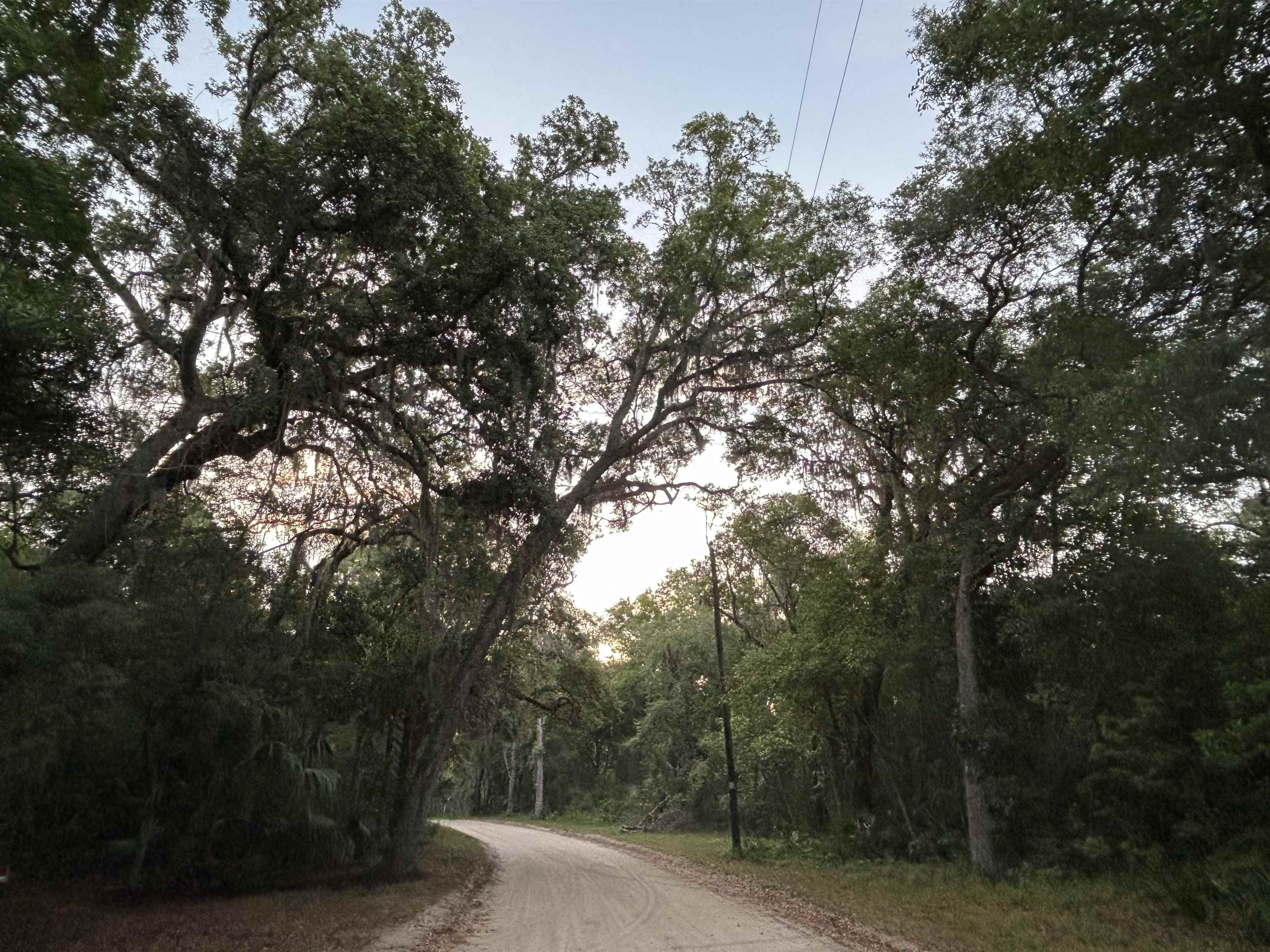 0 Pine Island Road St. Augustine, FL 32095 - Photo 35 of 39 View of dirt / gravel road
