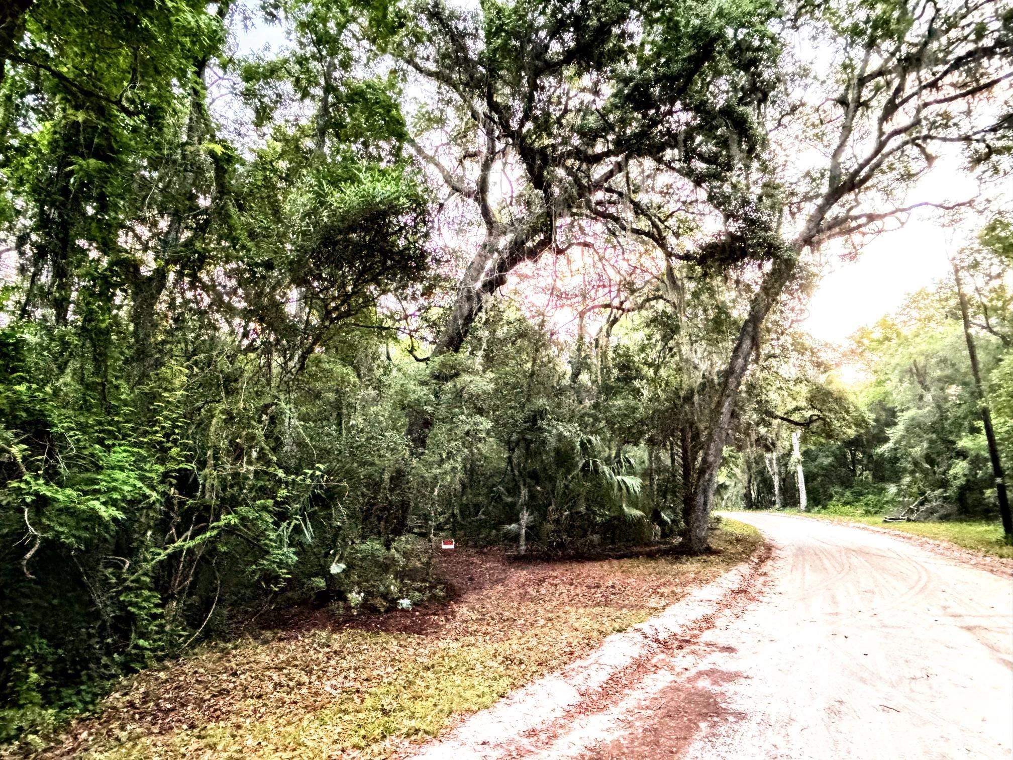 0 Pine Island Road St. Augustine, FL 32095 - Photo 38 of 39 View of dirt / gravel road