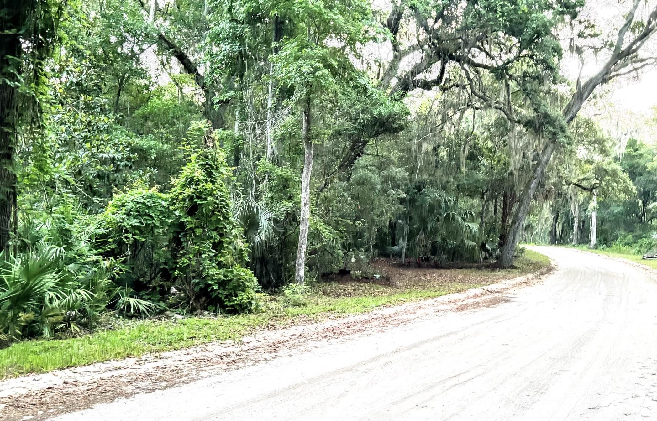 0 Pine Island Road St. Augustine, FL 32095 - Photo 39 of 39 View of dirt / gravel road with a forest view